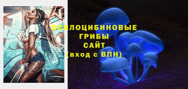 СК Алзамай