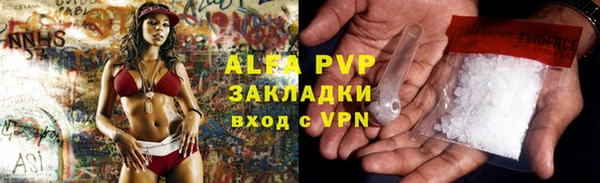 мет Алексин
