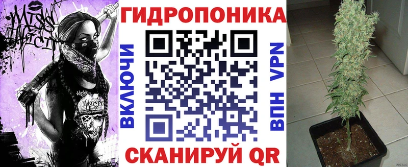 Шишки марихуана OG Kush  Петушки 
